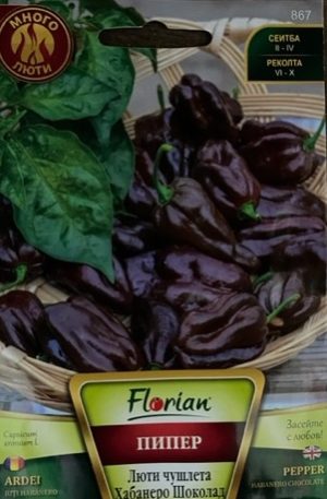 Paprika Habanero Chocolate Florian Bg
