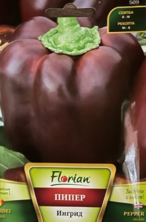 Paprika Ingrid Florian Bg