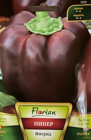 Paprika Ingrid Florian Bg