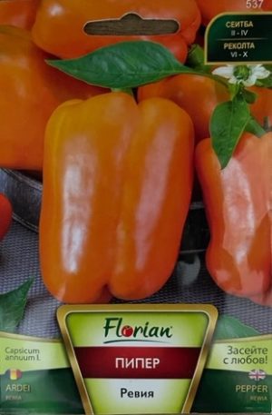 Paprika Rewia Florian Bg