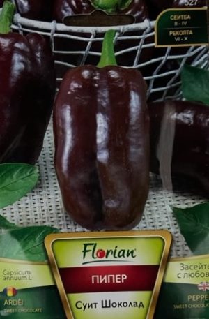Paprika Sweet Chocolate Florian Bg