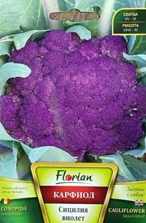 Karfiol Sicilia Violet Florian Bg
