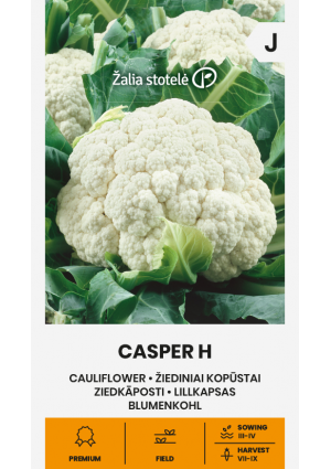 Karfiol Casper Hibrid Z.S SL