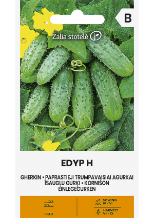 Uborka Edyp Hibrid Z.S SL