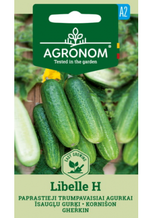 Uborka Libelle Hibrid AGR SL