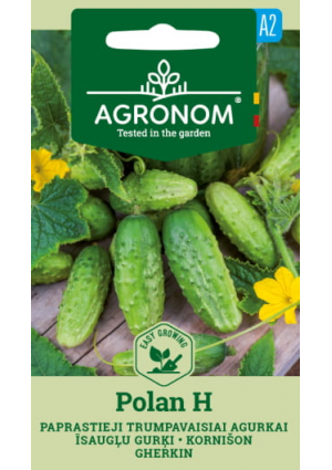 Uborka Polan Hibrid AGR SL