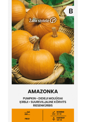 Sütőtök Amazonka Z.S SL