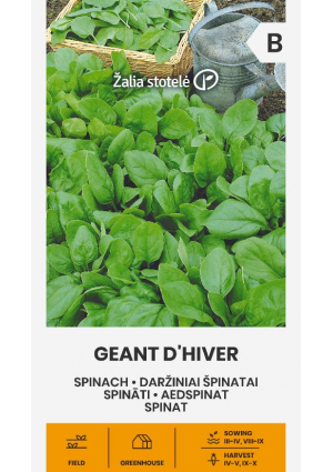 Spenót Geant D'hiver Z.S SL