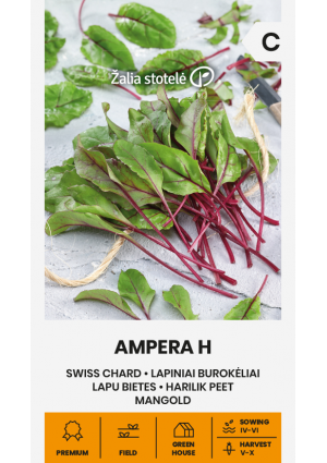 Bébi cékla levél Ampera Hibrid Z.S SL