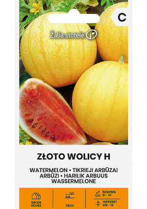Görögdinnye ZŁOTO WOLICY Hibrid Z.S SL