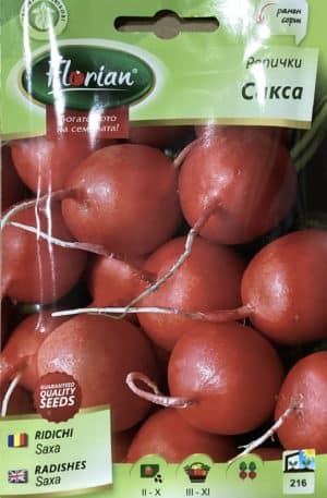 Retek Saxa Florian Bg