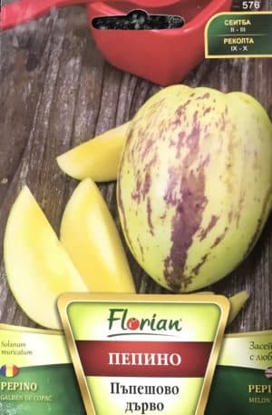 Pepino dinnye Melon Tree Florian Bg