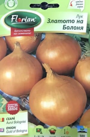 Hagyma Gold Of Bologna Florian Bg