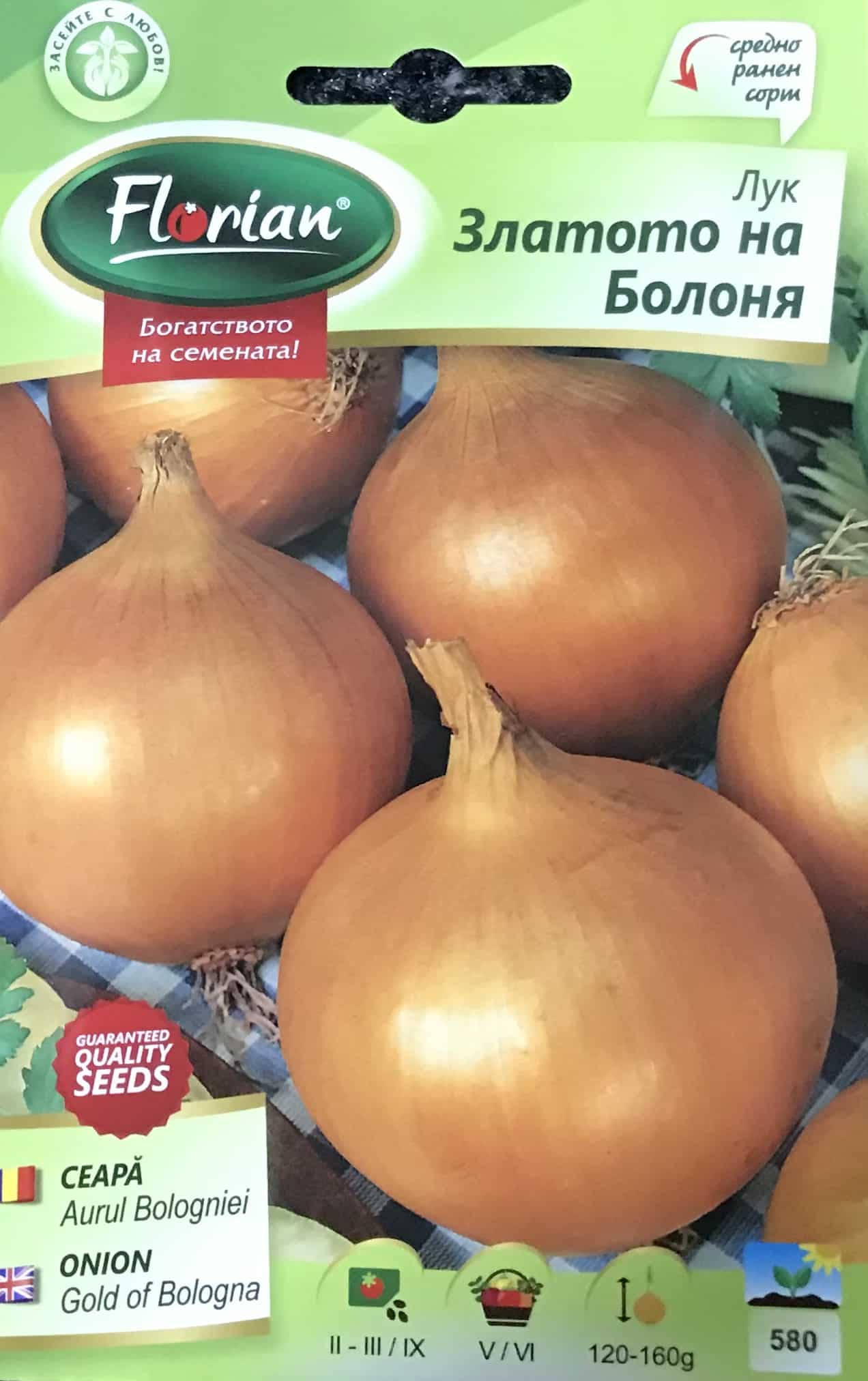 Hagyma Gold Of Bologna Florian Bg