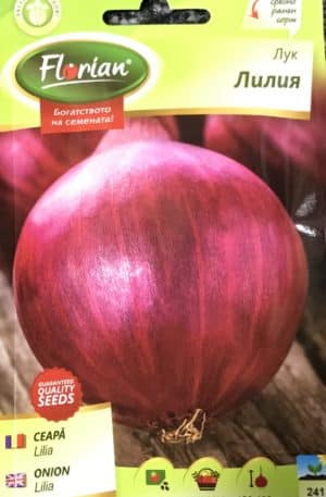 Hagyma Lilia Florian Bg