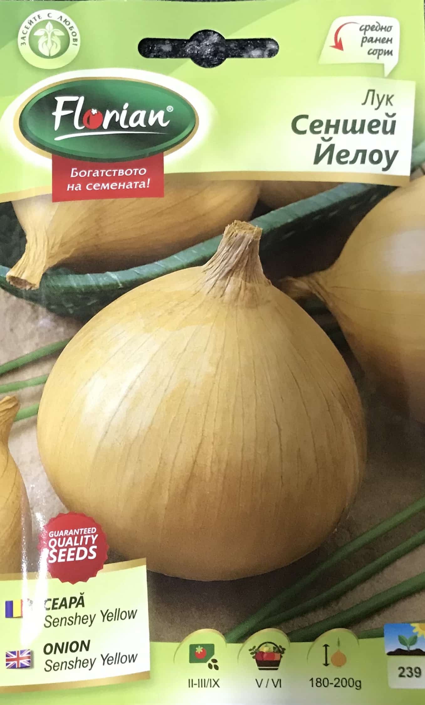 Hagyma Senshey Yellow Florian Bg