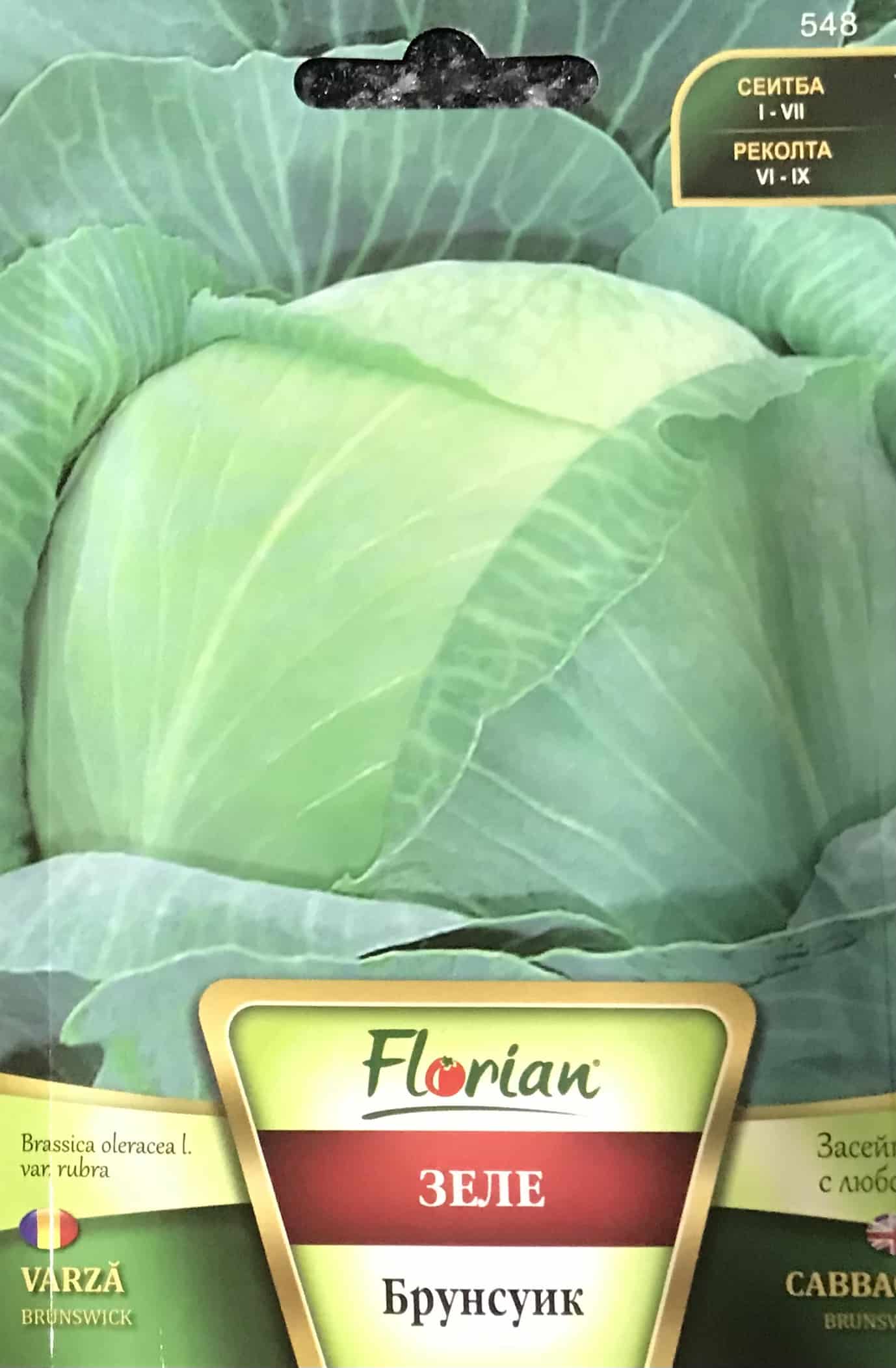 Káposzta Brunswick Florian Bg