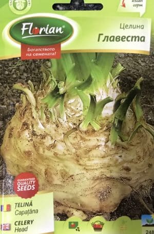 Zeller Head Florian Bg