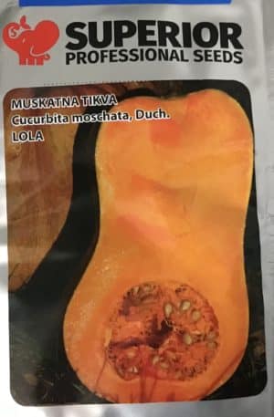 Sütőtök Lola Superior