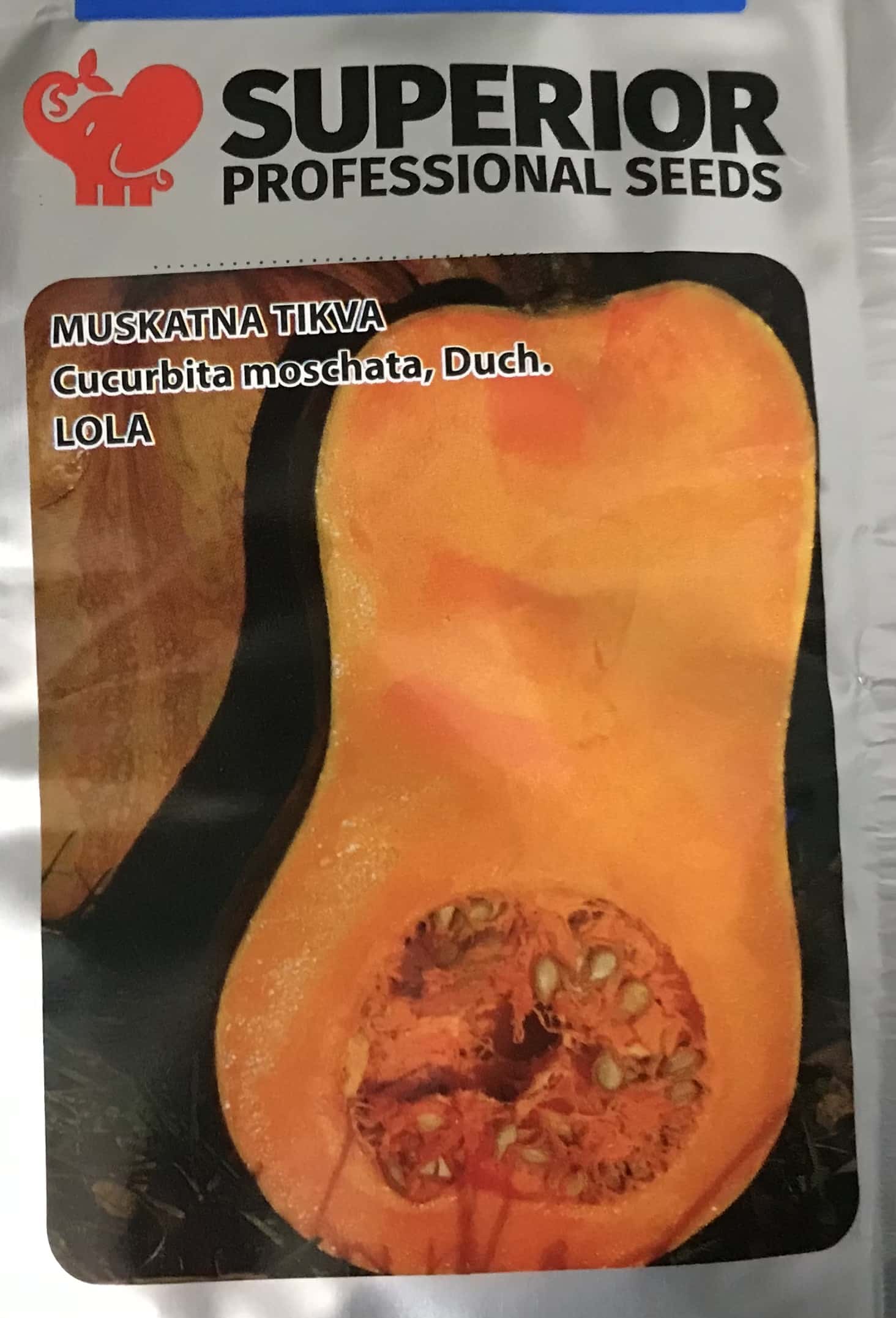 Sütőtök Lola Superior