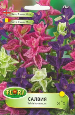 Zsálya színkeverék Florian Bg