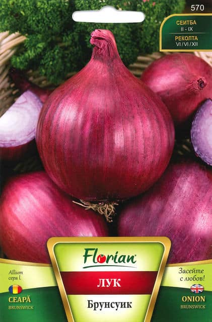 Hagyma Brunswick Florian Bg