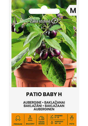 Padlizsán Patio Baby Hibrid Z.S SL