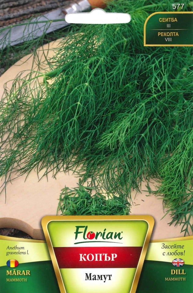 Kapor Mammouth Florian Bg