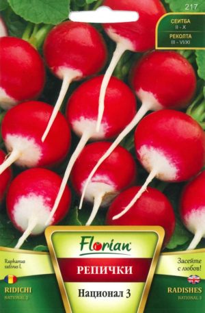 Retek National 3 Florian Bg