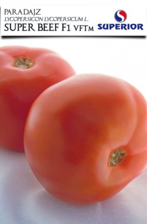 Paradicsom Super Beef F1 Superior