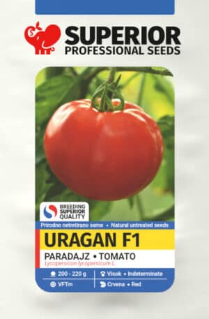 Paradicsom Uragan F1 Superior