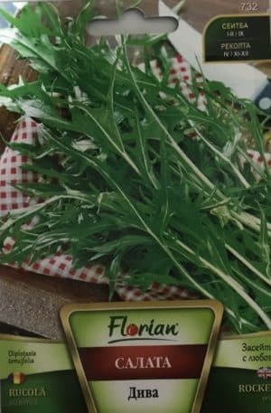 Rukkola Wild ( Vadrukkola) Florian Bg