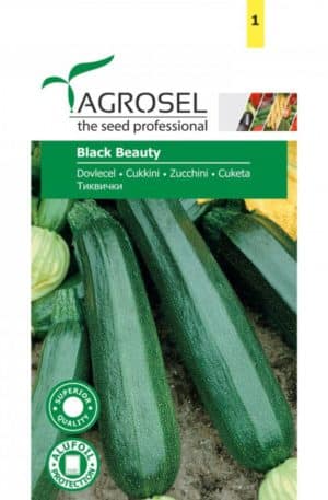 Tök Cukkini Black beauty Ag 2
