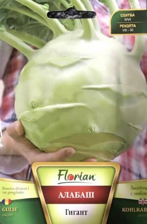 Karalábé Gigant Florian Bg