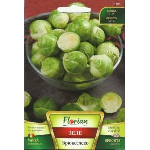 Kelbimbó Brussels Florian Bg