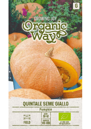 Sütőtök Quintale Seme Giallo SL OW