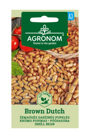 Bab brown Dutch AGR SL