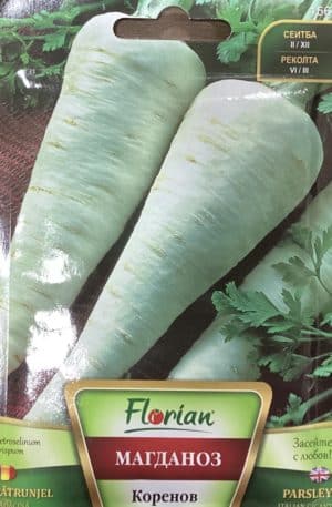 Petrezselyem gyökér Italian Gigant Florian Bg