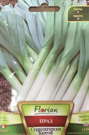 Póréhagyma Starozagorski Kamushi Florian Bg