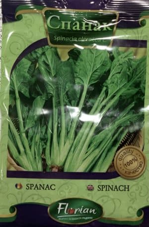 Spenót Winter Giant Florian Bg