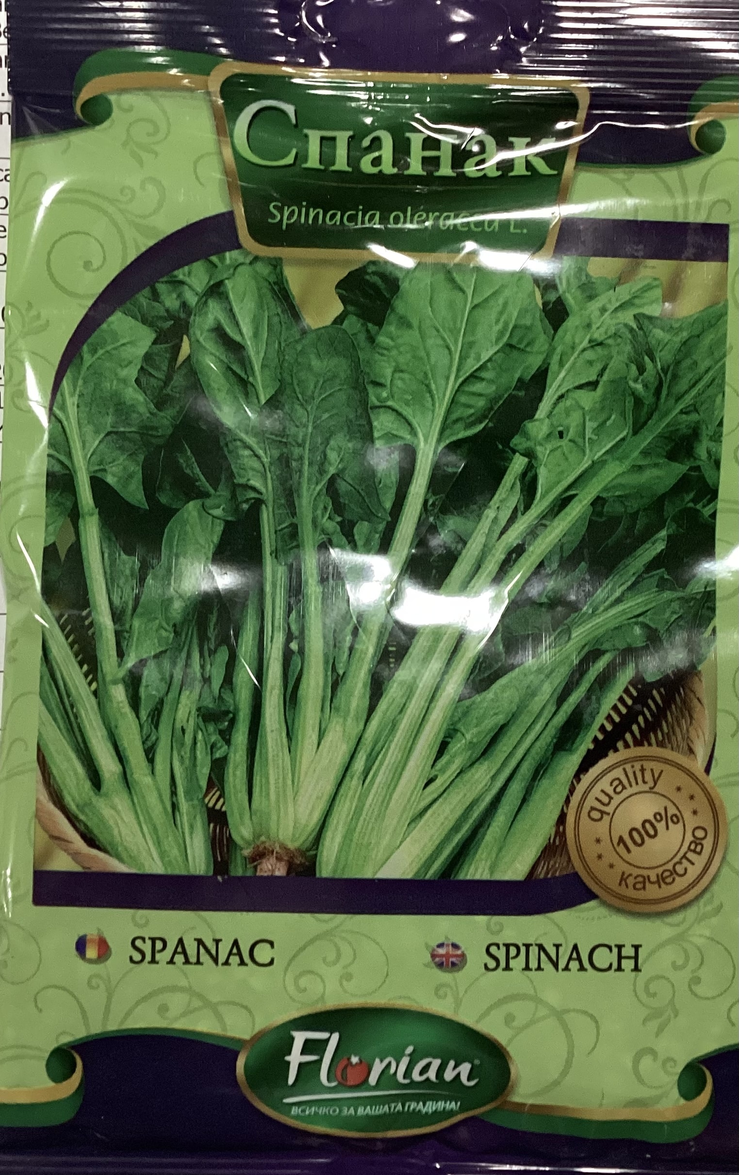 Spenót Winter Giant Florian Bg