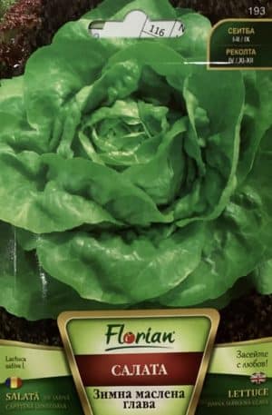 Saláta Zimna Maslena Glava Florian Bg