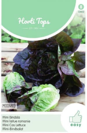 Saláta Moonred mini Ht H
