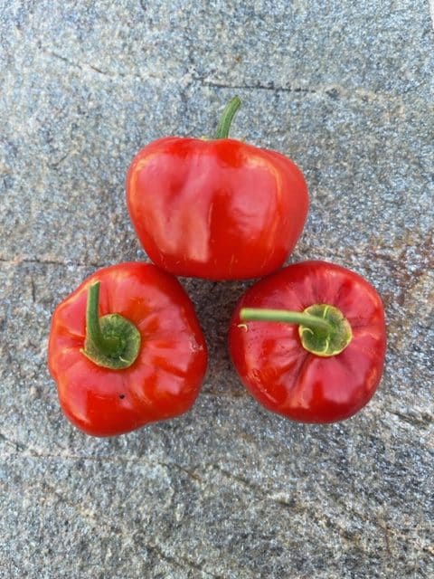 Pasacables De Goma Ghgast, Orificios Eléctricos Variad... | Envío Gratis - Foto 7