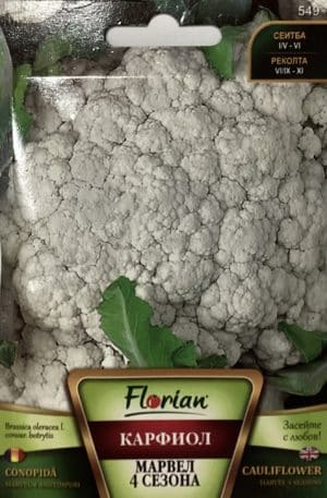 Karfiol Marvel 4 Seasons Florian Bg