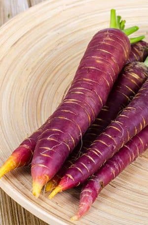 Sárgarépa Purple Haze F1 B-S