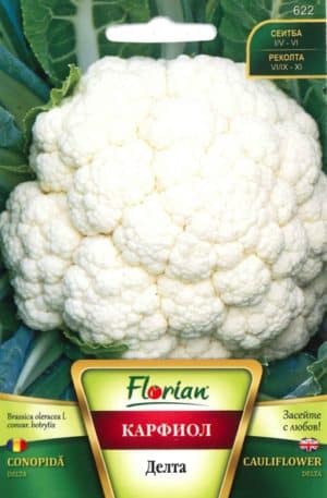 Karfiol Delta Florian Bg