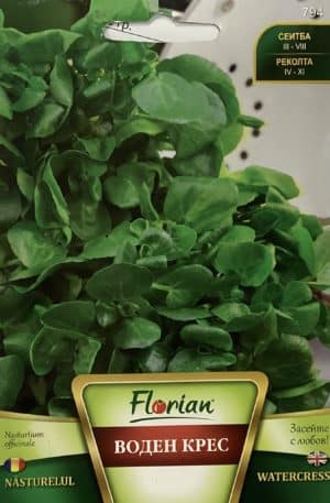 Orvosi Vizitorma Florian Bg