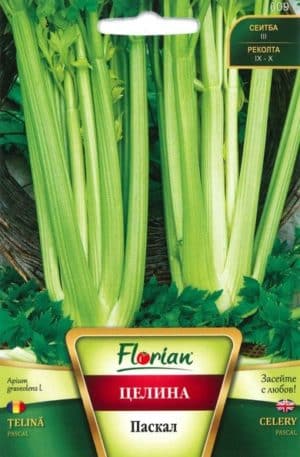 Zellerszár Pascal Florian Bg