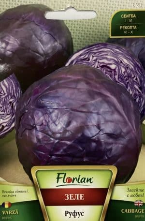 Káposzta Rufus Florian Bg